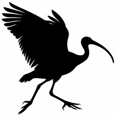 Scarlet ibis black silhouette icon vector