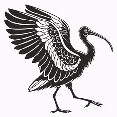 Scarlet ibis black silhouette icon vector