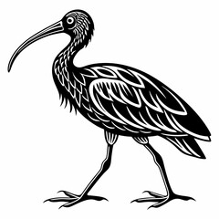 Scarlet ibis black silhouette icon vector
