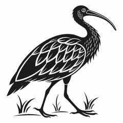 Fototapeta premium Scarlet ibis black silhouette icon vector