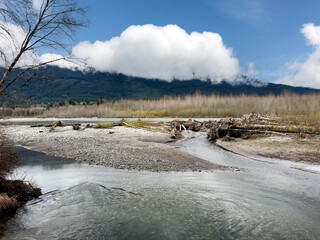 Creek flowing into the Sauk river during early spring season in Washington state