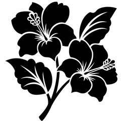 black and white hibiscus flower vector