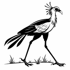 Secretary bird black silhouette icon vector
