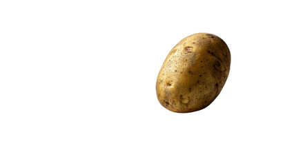 Fototapeta premium One raw potato with natural skin texture, positioned on a white table 