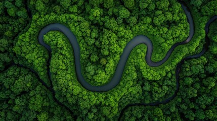 Fototapeta premium Winding river journey through lush forest aerial view nature photography