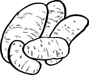 Potato. Vegetables. Hand drawn vector isolated sketch.