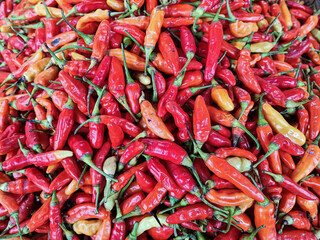 red chili peppers sold in traditional market 