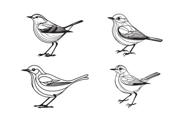 Charming Bird Illustrations Stylish Line Art of Songbirds