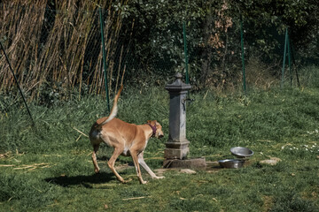 Fototapete bei efototapeten.de bestellen   