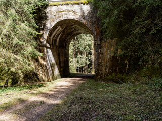 Landscape inside a forest, with an ancient stone bridge