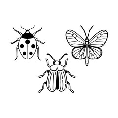 Context/Setting: Scientific illustration, botanical engraving, nature-themed design

Potential Use: Educational materials, branding, packaging, nature-themed artwork, tattoo designs