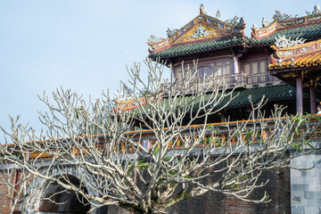A Serene Reflection by the Temple, beautifully set in the Tranquil Waters Hue Imperial City, Vietnam
