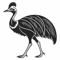 Fototapeta premium Cassowary silhouette black vector