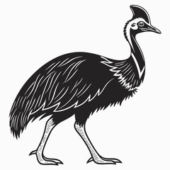 Cassowary silhouette black vector