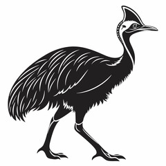 Cassowary silhouette black vector