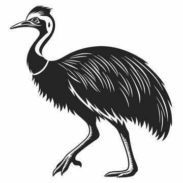 recommend clip art: Cassowary silhouette black vector