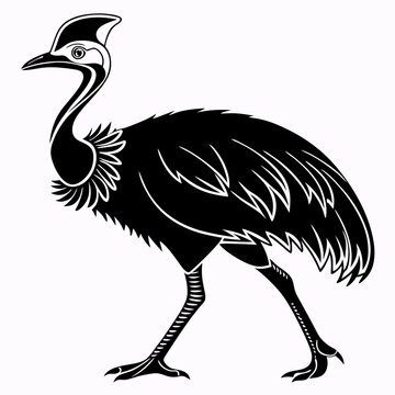 recommend clip art: Cassowary silhouette black vector