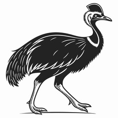 Cassowary silhouette black vector