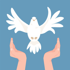 White flying dove symbol of the Holy Spirit against blue sky to Pentecost