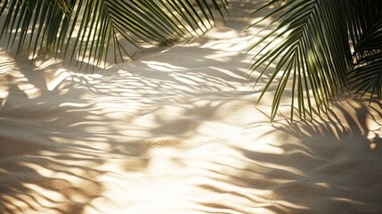Obraz premium Tropical Nature: Palm fronds casting intricate shadows across sun-soaked sand, creating a captivating interplay of light and shadow. 