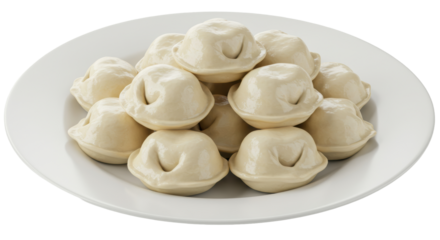 Isolated Plate of Cooked Dumplings