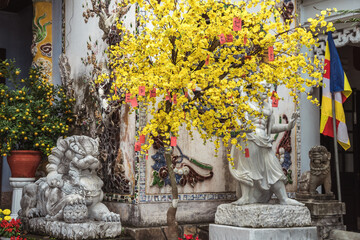 This Vibrant Temple is Decorated with Beautiful Flowers and Joyous Celebrations all around Marble...