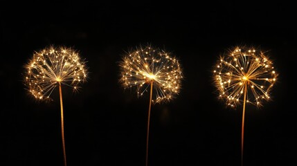Vibrant Night Sky: Three Grand Fireworks and a Tiny Sparkler for the 4th of July Celebration