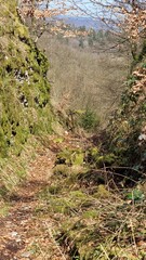 bewaldete Passhöhe, Altstraße Hohlweg „Große Egge