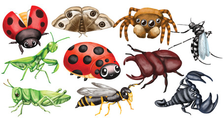 Watercolor Cute Insect Illustration Set Hand Painted Ladybug Beetle Mantis Grasshopper Wasp Spider Mosquito Moth Scorpion Artistic Bug Drawing