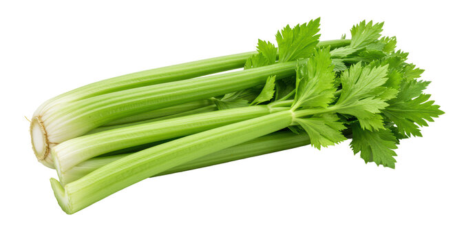 Isolated Celery Sticks
