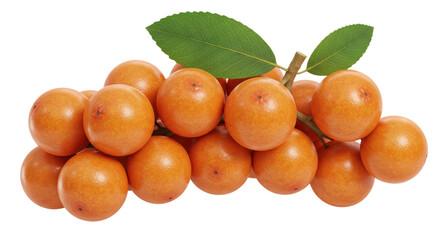 Isolated Sea Buckthorn Berries
