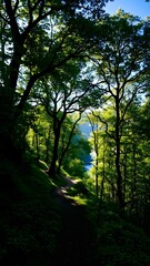 Obraz premium Enchanted Forest Pathway