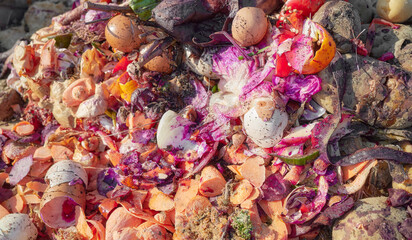 Organic waste compost pile with eggshells and vegetable scraps, selective focus.