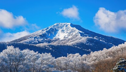 Snowy mountain peak with frosted trees under a clear blue sky