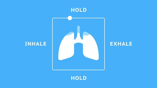 1 minute animation of a box breathing exercise guide with lungs icon and inhale-hold-exhale cycle. Useful for meditation, relaxation, and mindfulness apps or videos. Alpha channel. 4K.