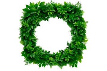 green  wreath  on transparent background