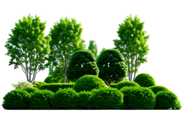Dense arrangement of vibrant green trees and manicured bushes, forming a lush, natural scene. The abundance of greenery conveys tranquility and freshness in a forested environment.