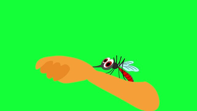 Mosquito bite in night high quality animation 2d character 