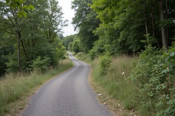 Obraz premium A winding road in the middle of a wooded area