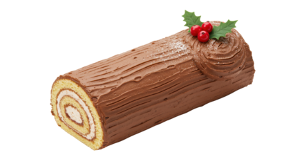 Isolated Chocolate Yule Log