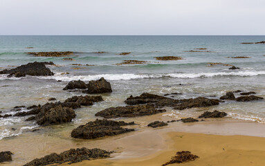 Big waves, huge rocks, and beautiful birds on the Pacific Ocean coast near Kaka Point. South Island, New Zealand