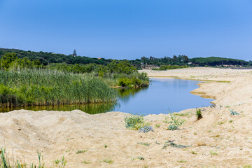 A boat is floating in a lake with tall grass on the shore on the island of Sardinia in Italy