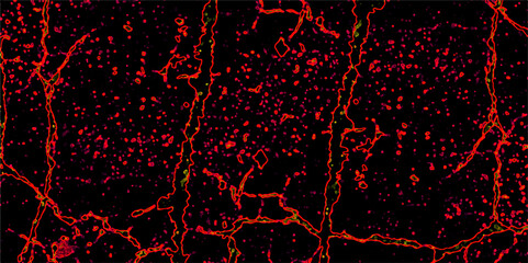 Abstract fire and realistic dark red fire particle burn effect sparkles pattern. Red grunge dark red and black textured painted background. Gloomy black and red colors background for design. © JERRY