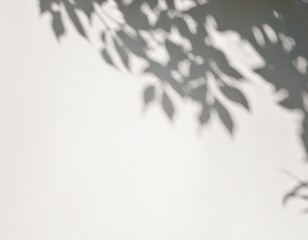  high-resolution abstract image of soft natural tree leaves casting delicate shadows on a white wall background. The organic shapes create a calming, minimalist aesthetic with subtle variations in lig