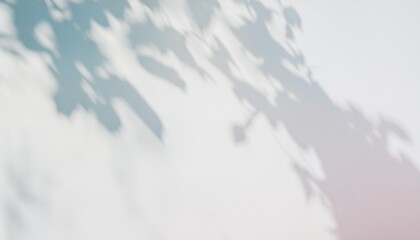  high-resolution abstract image of soft natural tree leaves casting delicate shadows on a white wall background. The organic shapes create a calming, minimalist aesthetic with subtle variations in lig