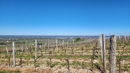 Monbazillac, P&eacute;rigord Pourpre, Dordogne, Nouvelle Aquitaine, France Europe