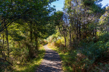 Lake Mistletoe walking track near Highway 94 to Milford Sound in South Island, New Zealand