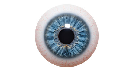 Isolated Blue Human Eye