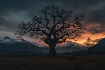 Silhouette of a majestic tree against a breathtaking sunset backdrop, snow-capped mountains in the distance.