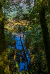 Beautiful Mirror Lakes near Highway 94 to Milford Sound in South Island, New Zealand